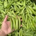 长寿仁豌豆荚新鲜嫩豌豆中青豆甜豌豆角弯豆夹荷包豆已上市