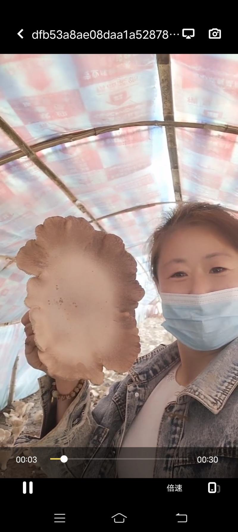 喜欢的老板联系我
