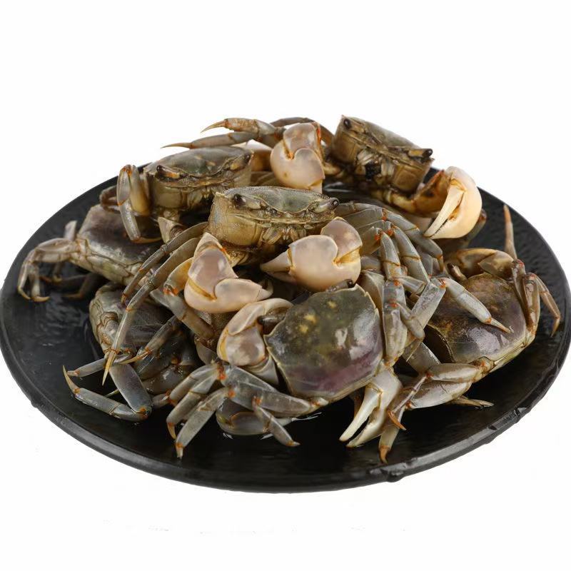 发财蟹，蟛蜞。产地供货