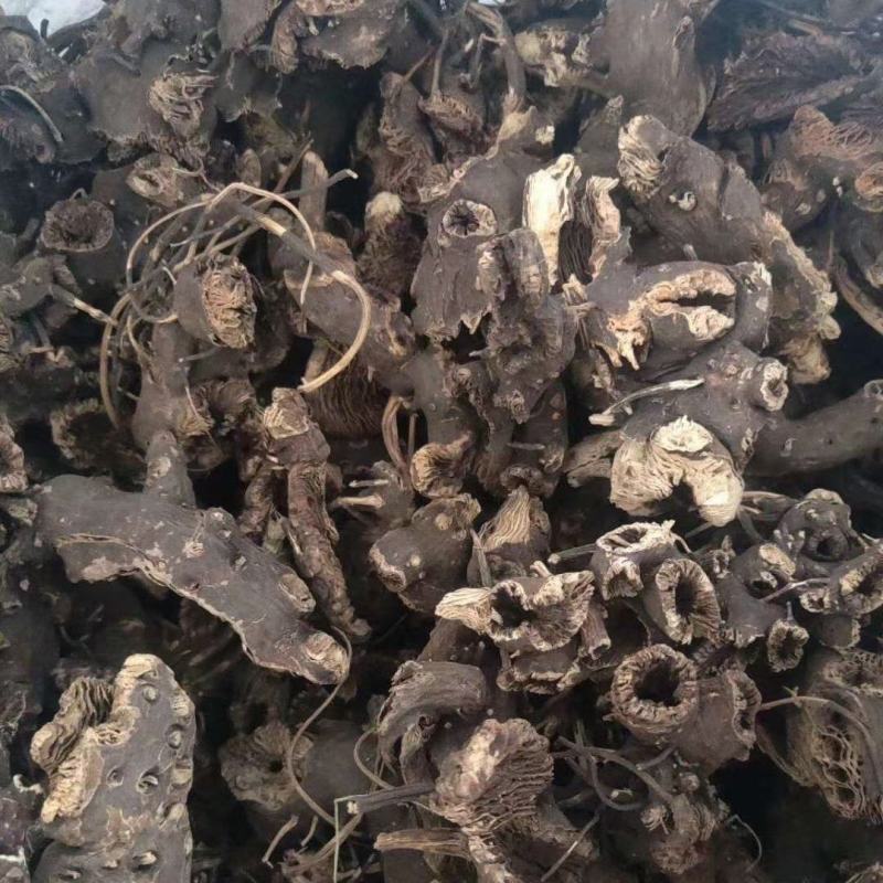 内蒙古火燎升麻干度嘎嘎的收拾的干净