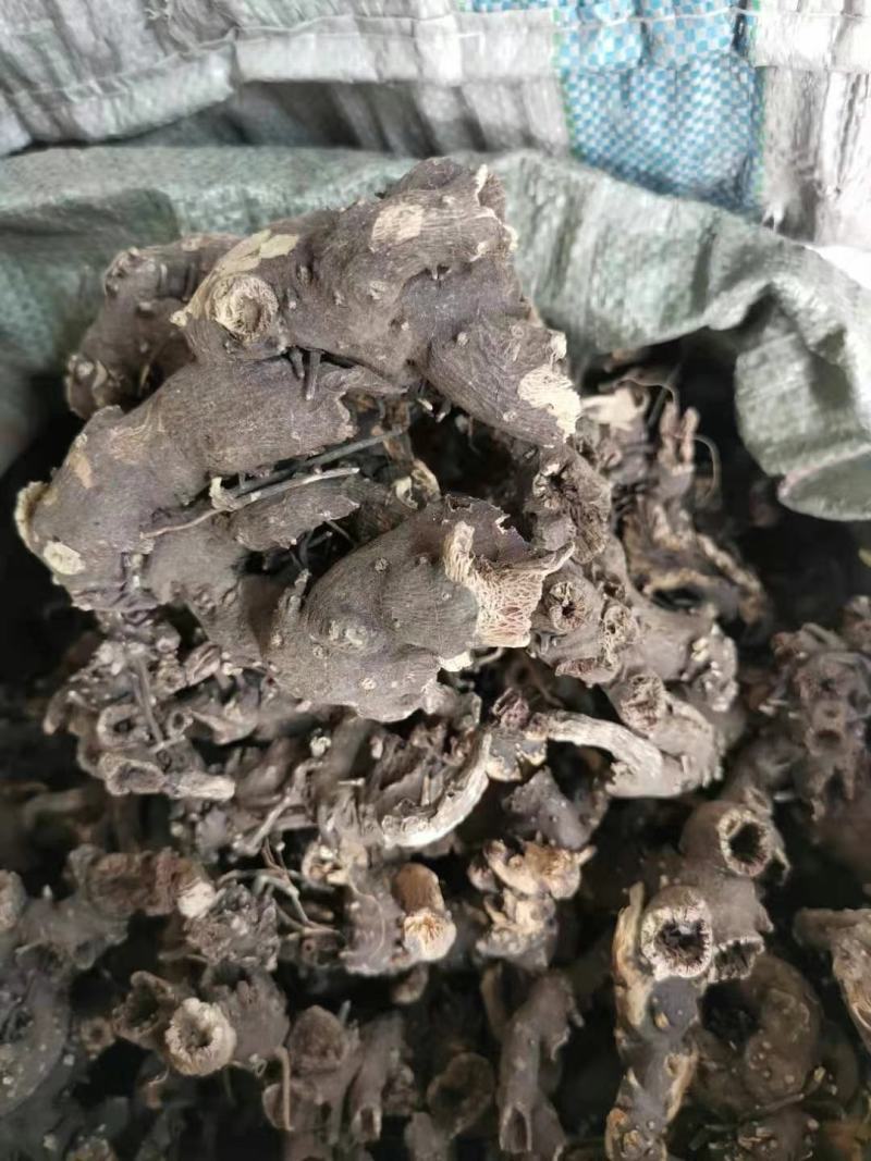 内蒙古火燎升麻干度嘎嘎的收拾的干净