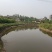60亩鱼塘果地出租