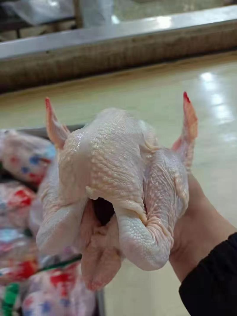 三黄鸡鸡爪817鸡爪厂家直销诚信经营保证质量