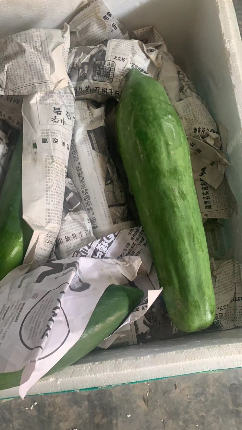 甜脆青木瓜凉拌沙拉用东南亚菜傣味菜泰国长木瓜圆木瓜