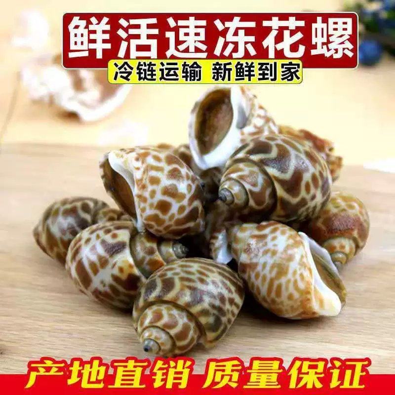 新鲜大花螺花螺鲜活冷冻新鲜东风螺海螺海猪螺海鲜水产好欢螺