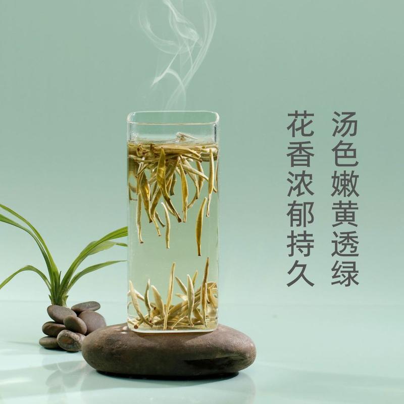 正宗广西横县茉莉银针单芽月光白散茶2023年新茶