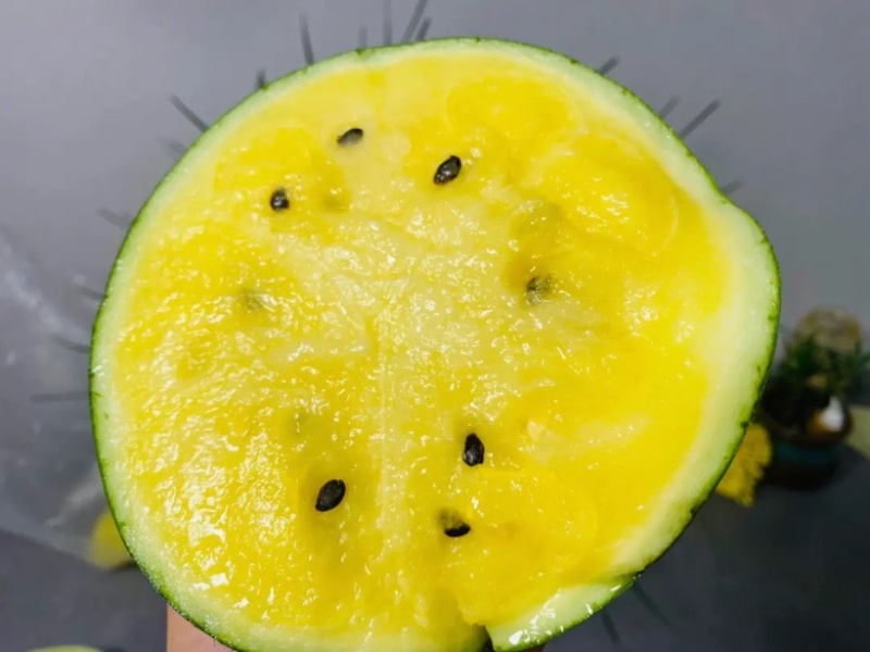 正品保障西瓜量大从优