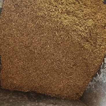 新疆孜然碎500g味道好纯孜然碎，产地直销