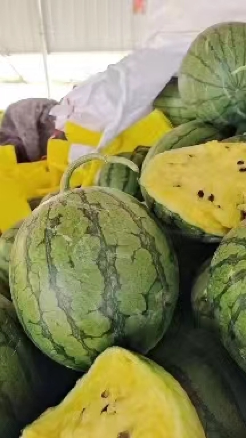 江苏西瓜头茬特小凤西瓜大量上市全国供应