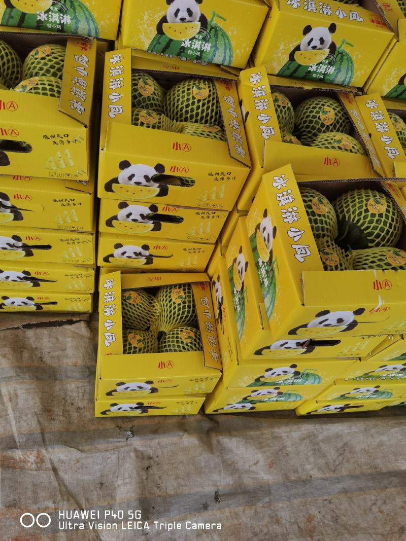 江苏西瓜头茬特小凤西瓜大量上市全国供应