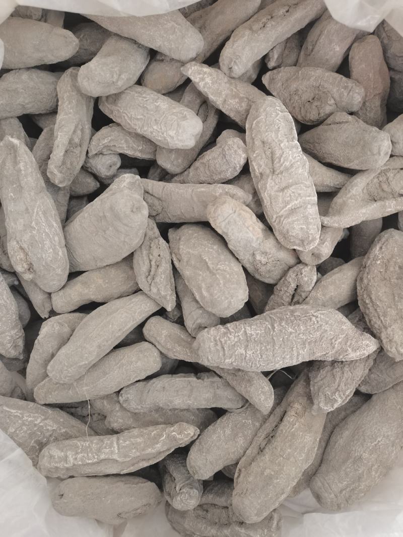 海茄参地瓜参泥巴参纯干肉质厚水发可用特价海参