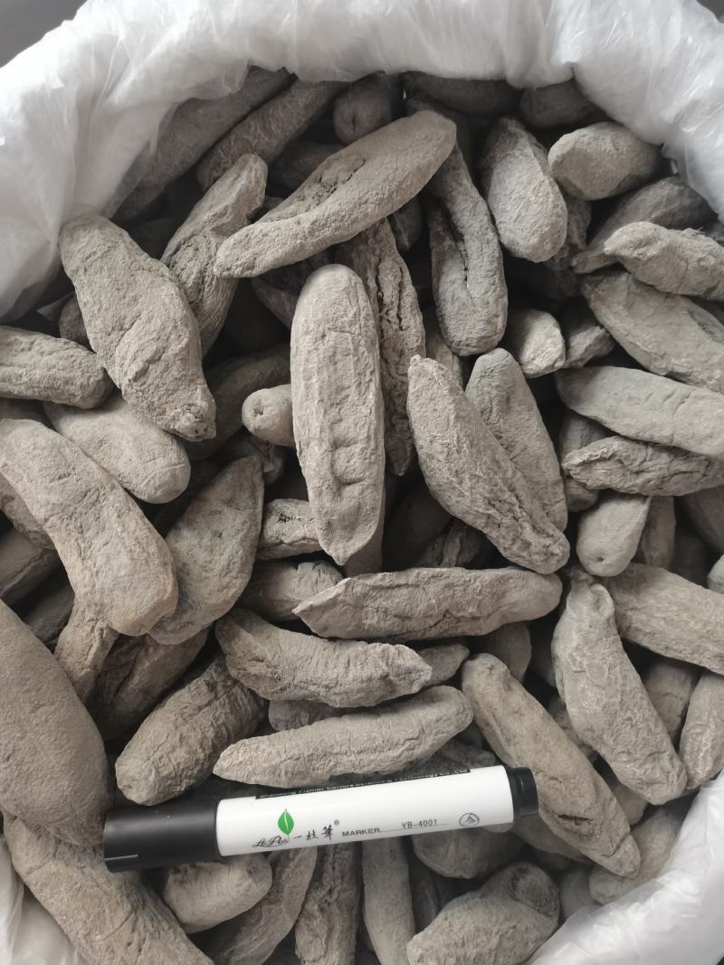 海茄参地瓜参泥巴参纯干肉质厚水发可用特价海参