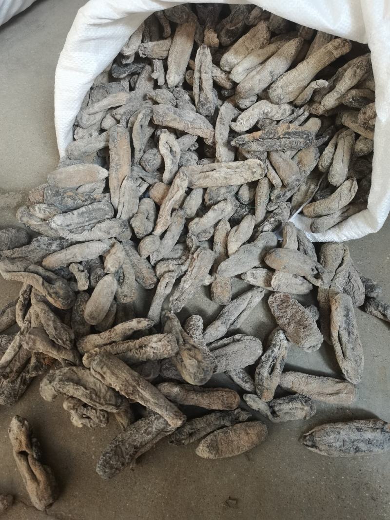 海茄参地瓜参泥巴参纯干肉质厚水发可用特价海参