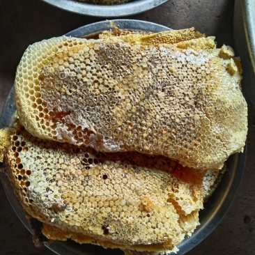 我有野生的坚果花蜜，澳洲坚果开口笑，有需要的老板联系我