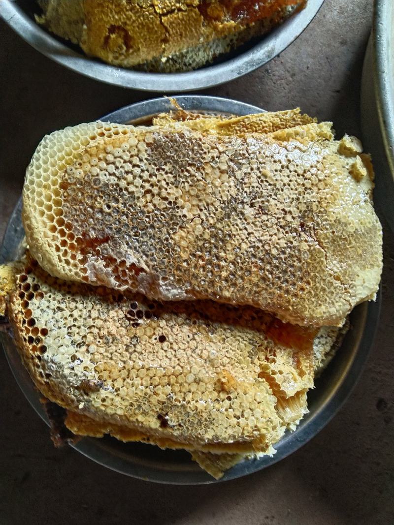 我有野生的坚果花蜜，澳洲坚果开口笑，有需要的老板联系我