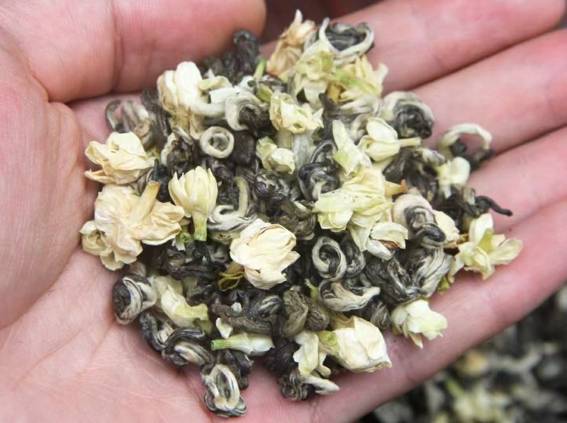 特级茉莉浓香花茶茶叶玉螺2024年批发