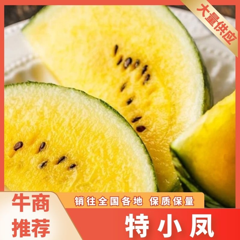 正品保障西瓜量大从优
