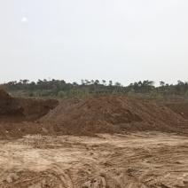 玉米，辣椒，土豆，白菜，萝卜