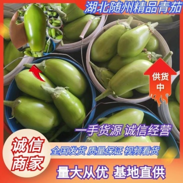 湖北青茄精品绿茄子大量上货中产地直供可供电商市场