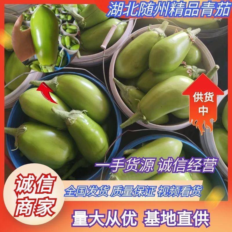湖北青茄精品绿茄子大量上货中产地直供可供电商市场