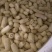 腌制藕段厂家直供品质保证欢迎电话咨询、看货。