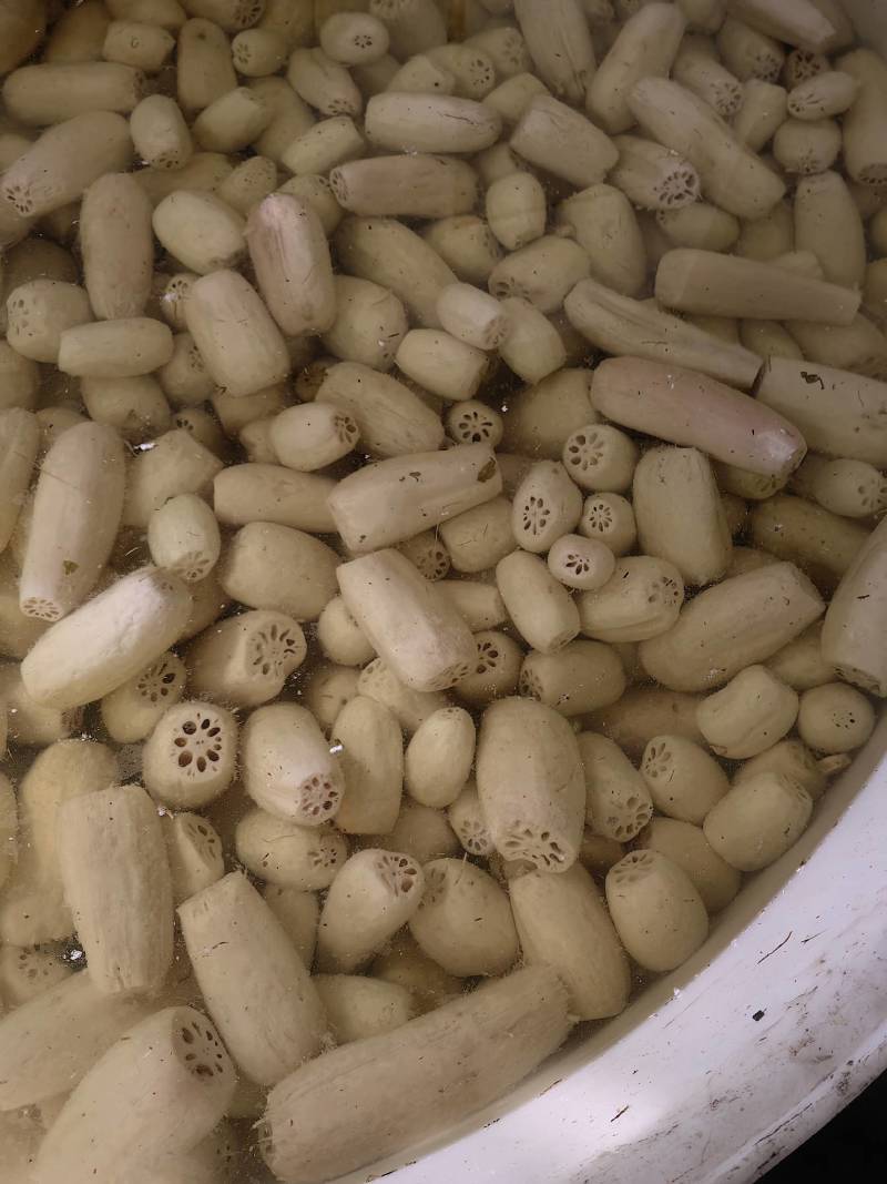 腌制藕段厂家直供品质保证欢迎电话咨询、看货。