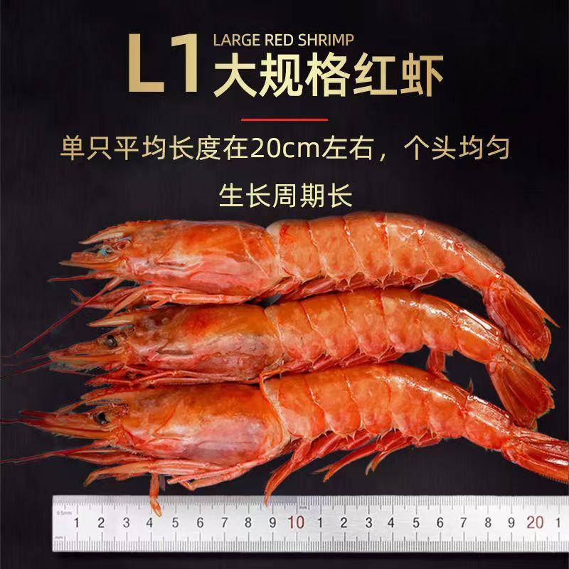 阿根廷红虾L1大红虾2kg进口特大新鲜冷冻海鲜水产船冻