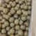 罗汉果