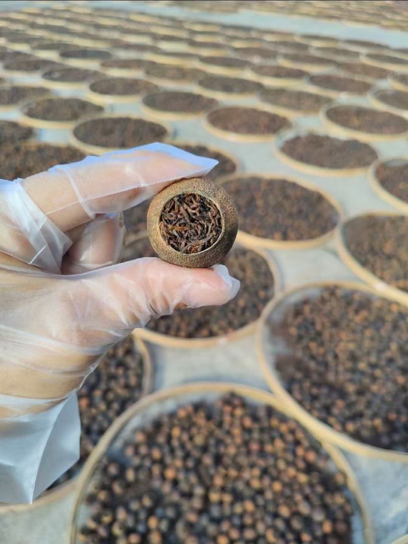 天马小青柑柑普茶熟茶核心产区