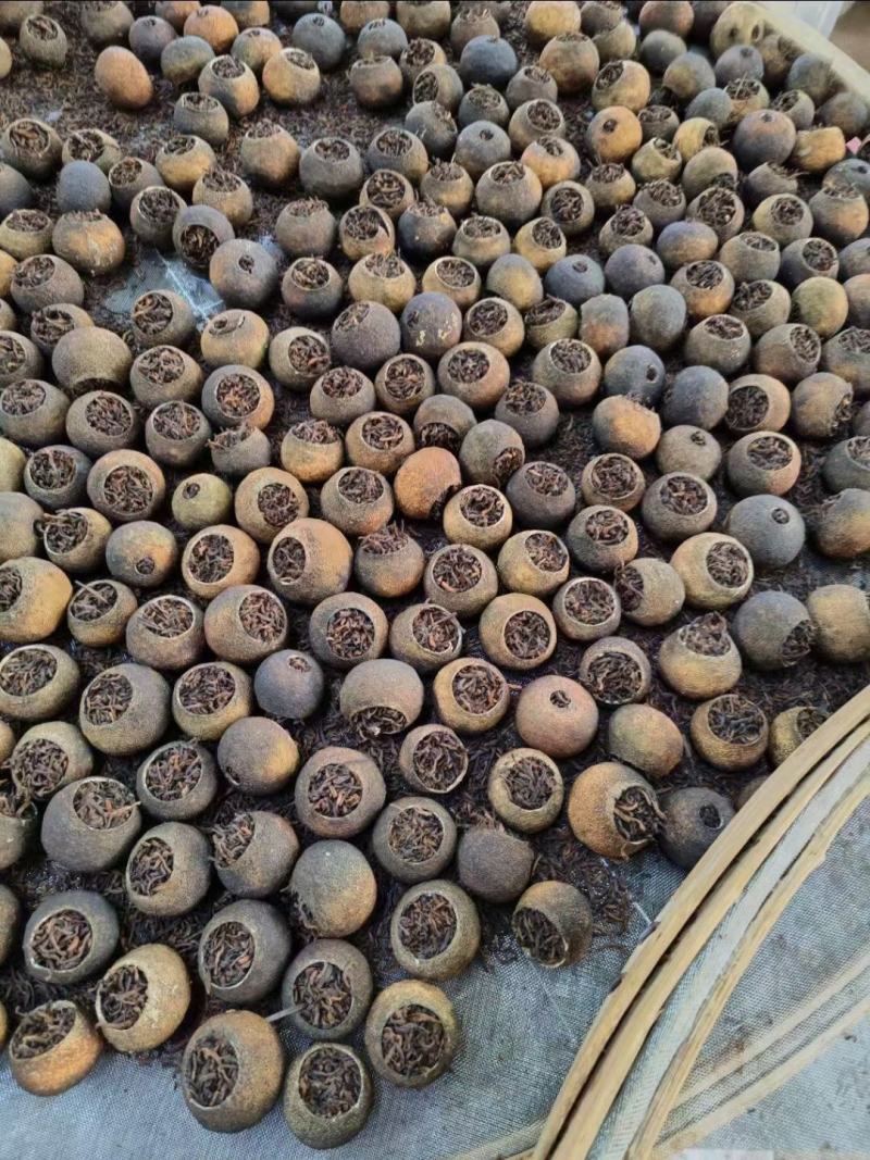 天马小青柑柑普茶熟茶核心产区