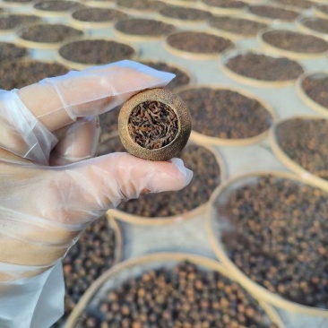 天马小青柑柑普茶熟茶核心产区