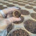 天马小青柑柑普茶熟茶核心产区