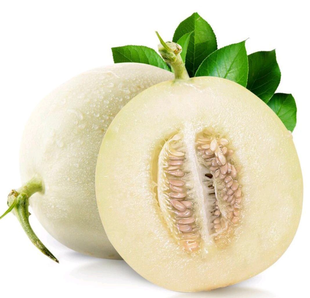 玉菇甜瓜整体外观