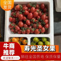 【荐】寿光小番茄圣女果产地大量现货品质上乘全国
