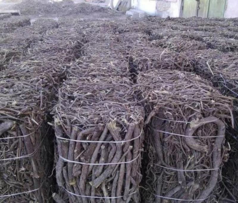 哈萨克斯坦进口甘草