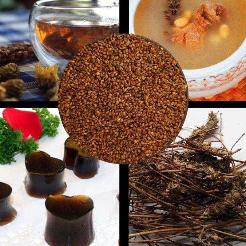 夏枯草种子白毛夏枯球种籽新采药材四季播种简单发芽率高阳台