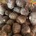 毛芋头～8520高产芋头～大量供应，产地直销，品质有保障