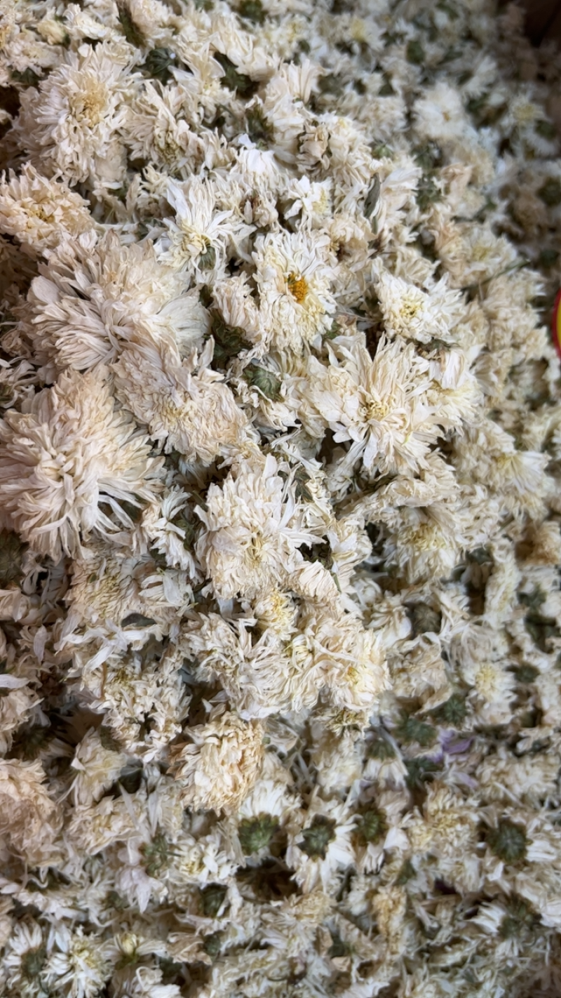 菊花