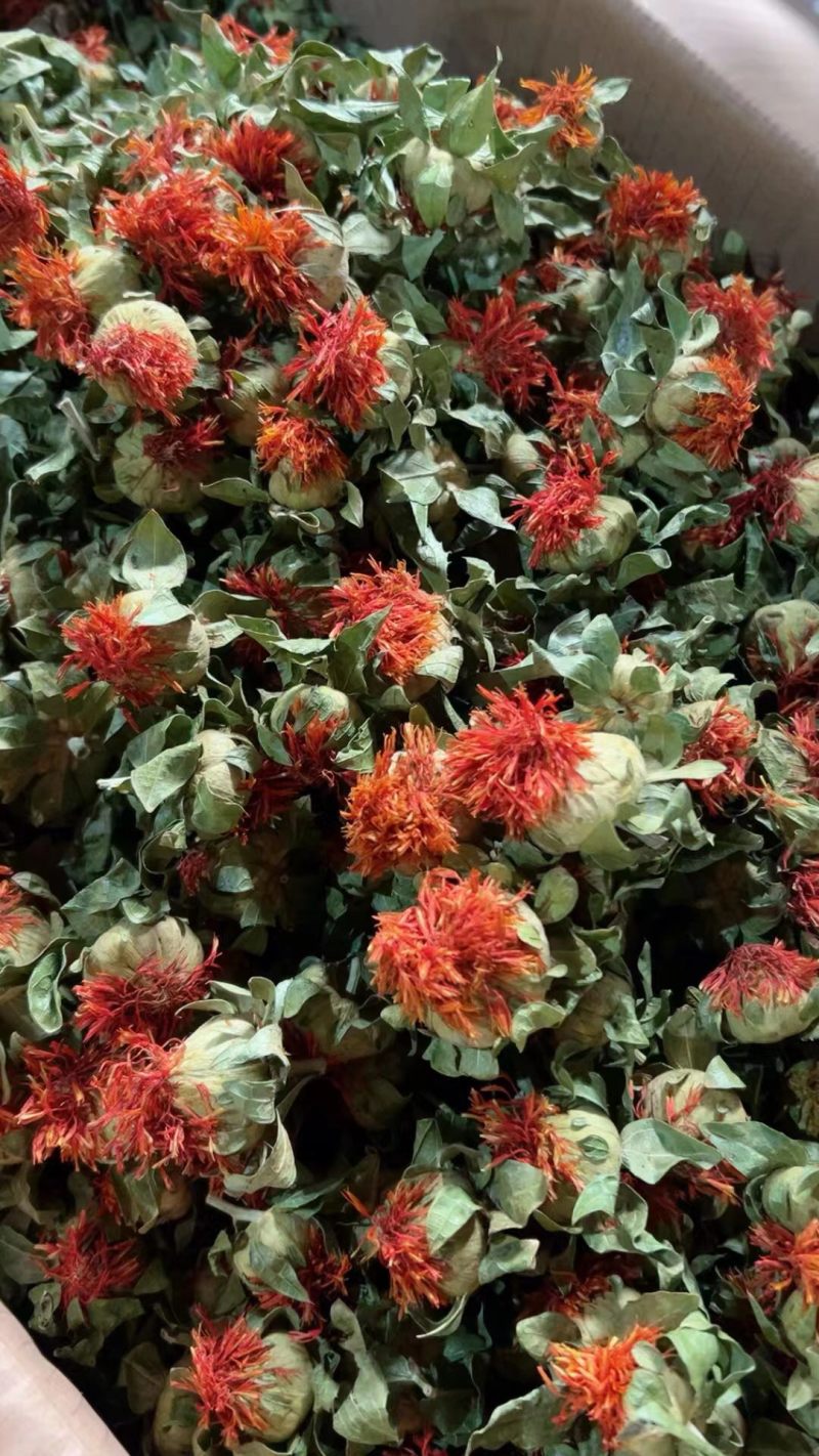 藏红花红花果泡水解暑茶