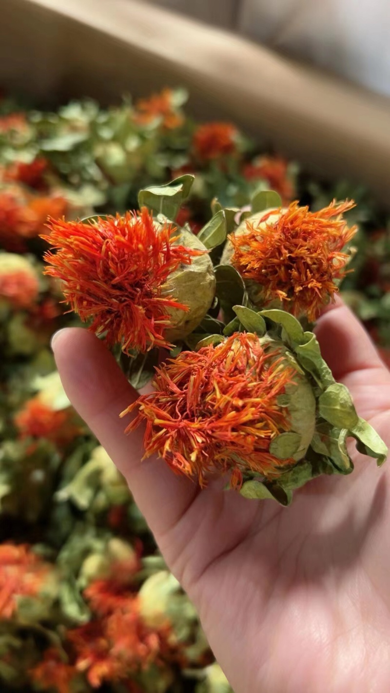 藏红花红花果泡水解暑茶
