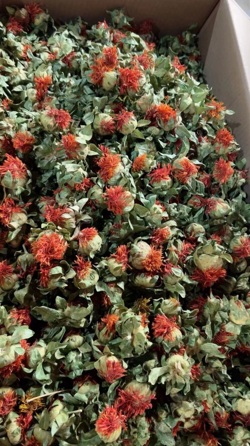 藏红花红花果泡水解暑茶