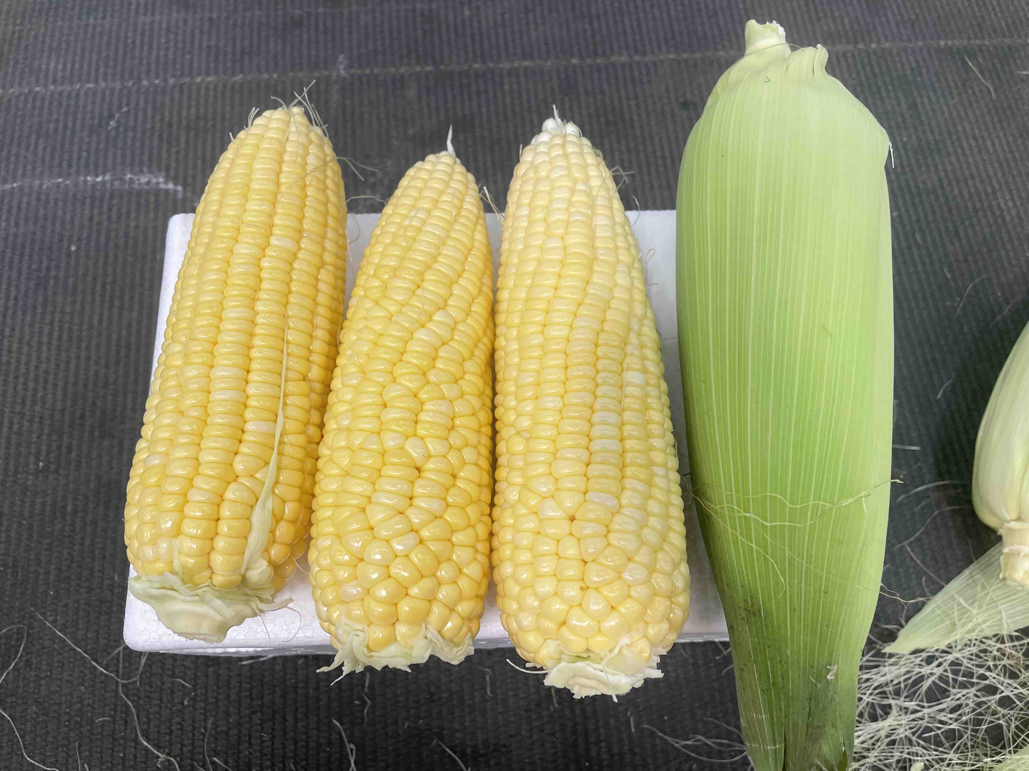 甜玉米香气展示图,展示正在剥皮的玉米散发清香 甜玉米挑选技巧 - 清香玉米展示