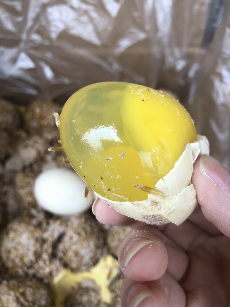 糖心松花皮蛋150个一件批发变蛋