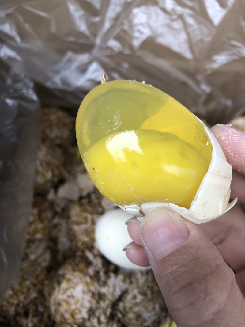 糖心松花皮蛋150个一件批发变蛋