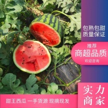 【实力商家】新疆甜王西瓜皮薄多汁瓜型好一手货源基地直发