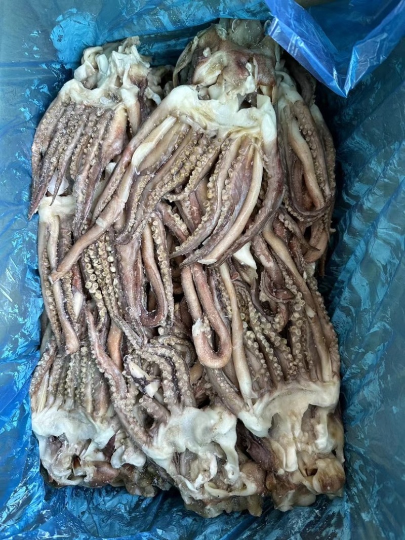 精品二本足鱿鱼须尤鱼须章鱼足鱿鱼头章鱼头鱿鱼丝鱿鱼条