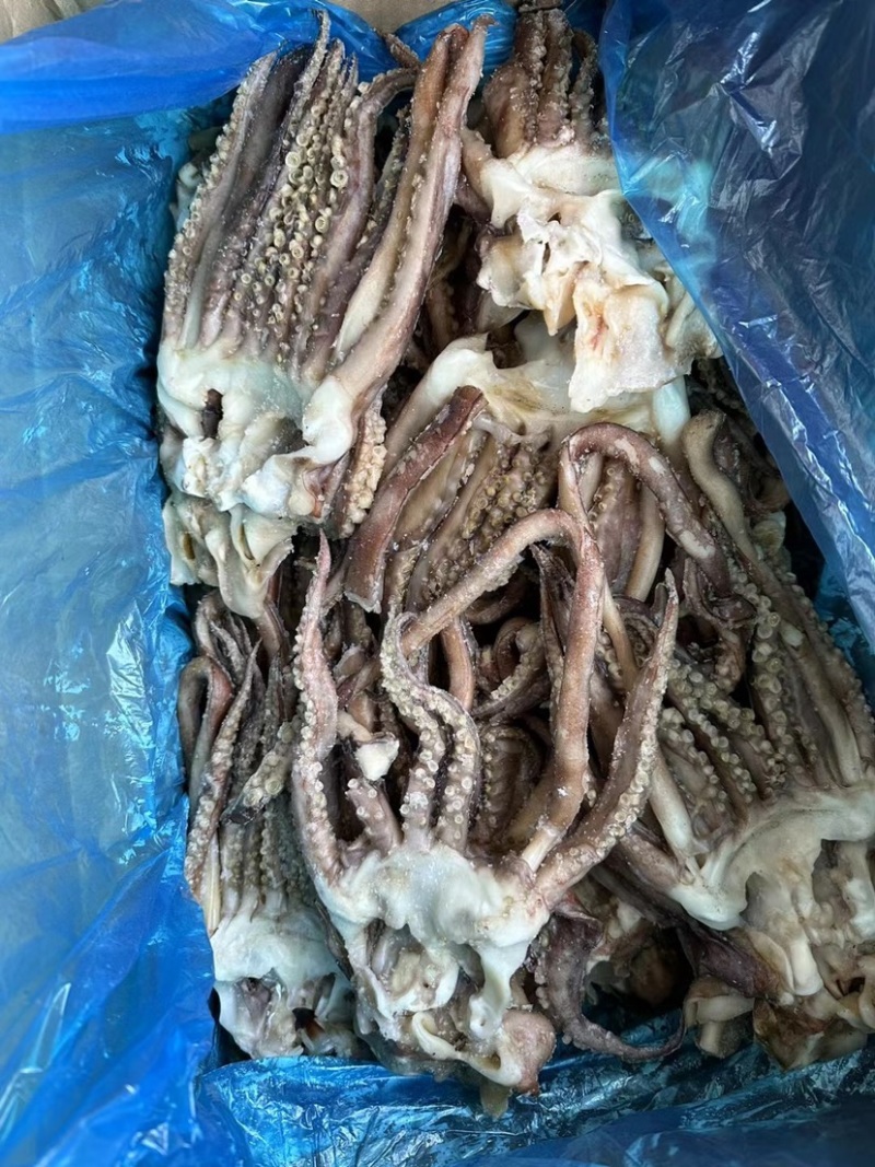 精品二本足鱿鱼须尤鱼须章鱼足鱿鱼头章鱼头鱿鱼丝鱿鱼条