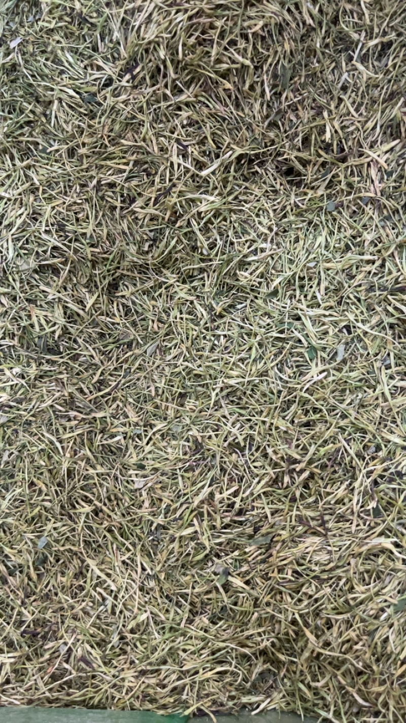 金银花