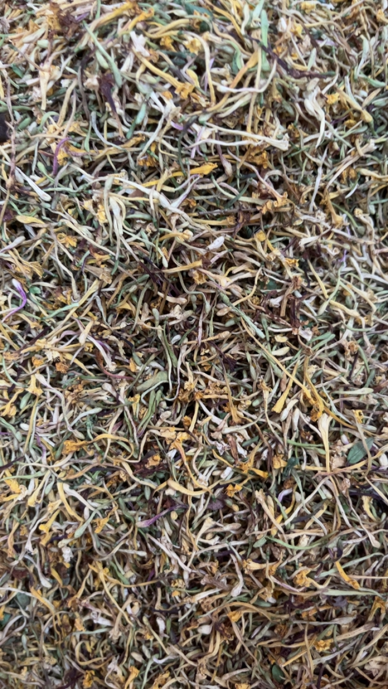 金银花