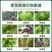 17%唑醚氟环唑小麦玉米大蒜梨锈病白粉病褐斑病农药杀菌剂